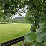 De Bosdriehoek Iii 木屋 *