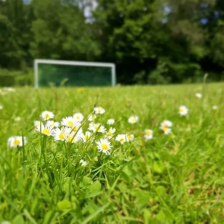 De Bosdriehoek Iii * دربي