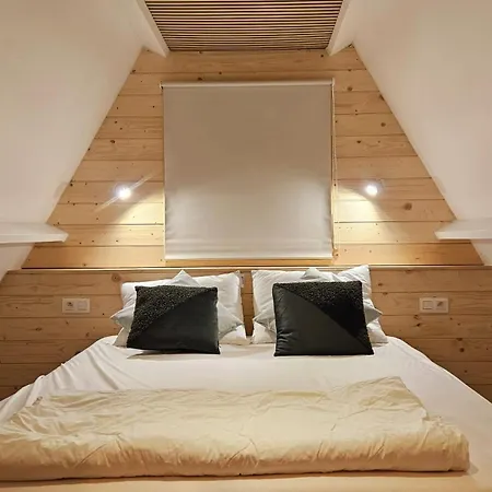 Alpesi faház De Bosdriehoek Iii *