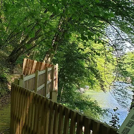 De Bosdriehoek Iii 샬레 더뷔