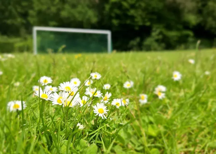 De Bosdriehoek Iii * Durbuy